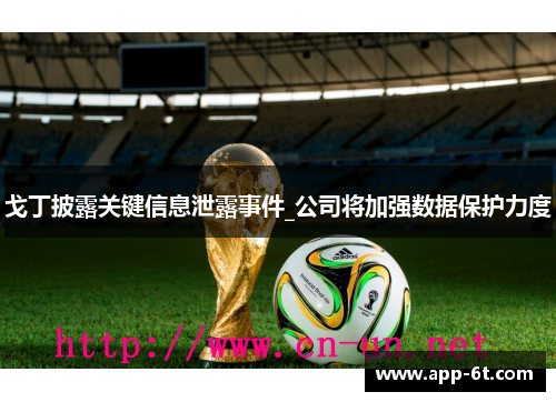 戈丁披露关键信息泄露事件_公司将加强数据保护力度